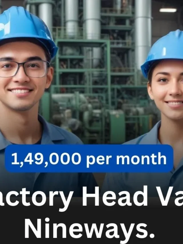 Plant / Factory Head Vacancy 2024